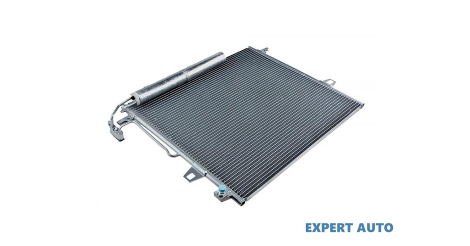 Radiator aer conditionat Mercedes G-Class (1989->) [W461] #1 | arhiva ...