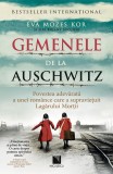 Gemenele de la Auschwitz - Affinity Konar - Niculescu