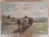 Puzzle 500 piese carul cu boi ideal tablou sau decor, TREFL 100P
