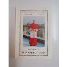 CARDINALUL ALEXANDRU TODEA de SILVESTRU A. PRUNDUS , CLEMENTE PLAIANU 1992