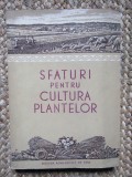 SFATURI PENTRU CULTURA PLANTELOR