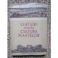 SFATURI PENTRU CULTURA PLANTELOR