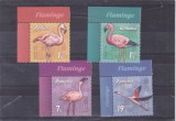 ROMANIA 2021 - FLAMINGO, PASARI, MNH - LP 2336, Fauna, Nestampilat