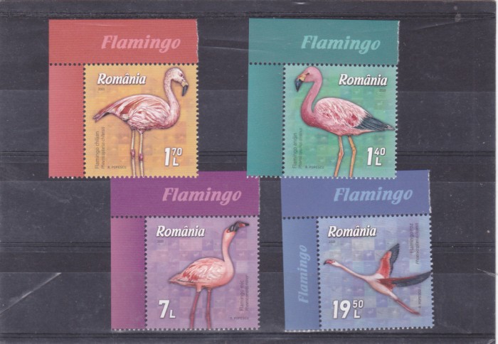 ROMANIA 2021 - FLAMINGO, PASARI, MNH - LP 2336