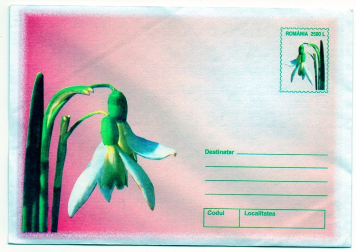 ROMANIA 2002, Flora, intreg postal