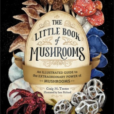 The Little Book of Mushrooms: An Illustrated Guide to the Extraordinary Power of Mushrooms