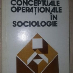 Sisteme conceptuale operationale in sociologie- Oscar Hoffman