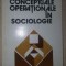 Sisteme conceptuale operationale in sociologie- Oscar Hoffman