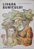 Livada Bunicului - Ion Popescu - Editura Ion Creanga 1988 - Carte Ilustrata copii, Povesti