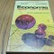 ECONOMIE - Probleme; Teste; Rezolvari - Mircea Cosea, P. T. Ghita - 1993, 258 p.