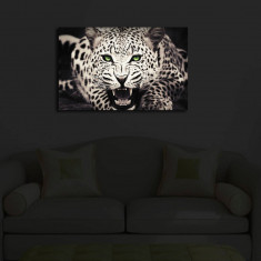 Tablou decorativ cu lumina LED, 4570Ä°ACT-43, Canvas, Dimensiune: 45 x 70 cm, Multicolor