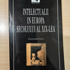 Intelectualii în Europa secolului al XIX-lea - Cristophe Charle