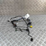 Cablaj ușă dreapta față PORSCHE PANAMERA 970 2012 OEM: 97061261001 31384103