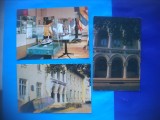 HOPCT LOT NR 614 MUZEUL MARINEI CONSTANTA-CT-3 CARTI POSTALE-RSR-NECIRCULATE, Circulata, Printata