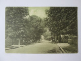 Carte poștală Pucioasa:Bulevardul și strada Regală,circulată 1926