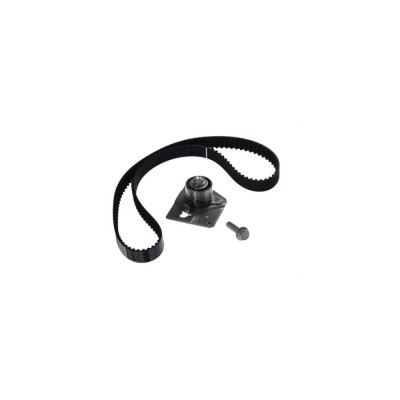 Kit distributie NISSAN PRIMASTAR bus X83 DAYCO KTB465 foto