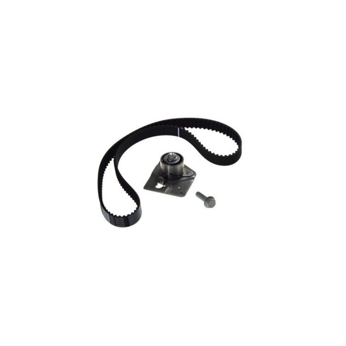 Kit distributie NISSAN PRIMASTAR bus X83 DAYCO KTB465