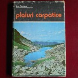 Plaiuri carpatice - Ion Conea (Editura Sport-Turism, volum de eseuri și descrieri geografice)