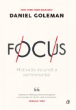 Cumpara ieftin Focus. Motivatia ascunsa a performantei, Curtea Veche