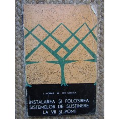 INSTALAREA SI FOLOSIREA SISTEMELOR DE SUSTINERE LA VII SI POMI- MORAR, COSTEA