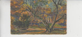 D11 A 56 - Felicitare de colectie - tematica natura - anii 1930