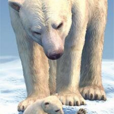 Semn de carte 3D - Polar Bears - ***