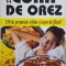 Cura de orez. 150 de preparate ieftine si usor de facut! - Gottschalk