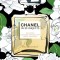 Chanel in 55 Objects