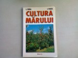 CULTURA MARULUI - L. CHIRA