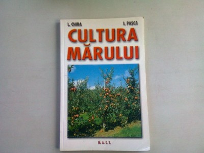 CULTURA MARULUI - L. CHIRA foto
