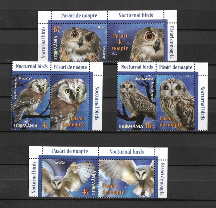 ROMANIA 2022 - PASARI DE NOAPTE, VINIETA 1, MNH - LP 2368