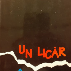 Un licar in bezna Actiuni necunoscute ale diplomatiei romane