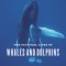 The Cultural Lives of Whales and Dolphins