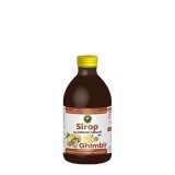 Sirop de Ghimbir 250 mililitri Hypericum, Hypericum Plant