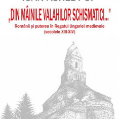 „Din mâinile valahilor schismatici...”. Românii şi puterea în Regatul Ungariei medievale (secolele XIII‑XIV) - Paperback brosat - Ioan-Aurel Pop - Șco