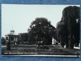 728. Ramnicu Valcea - Parcul Comunal, carte postala interbelica, Necirculata, Fotografie