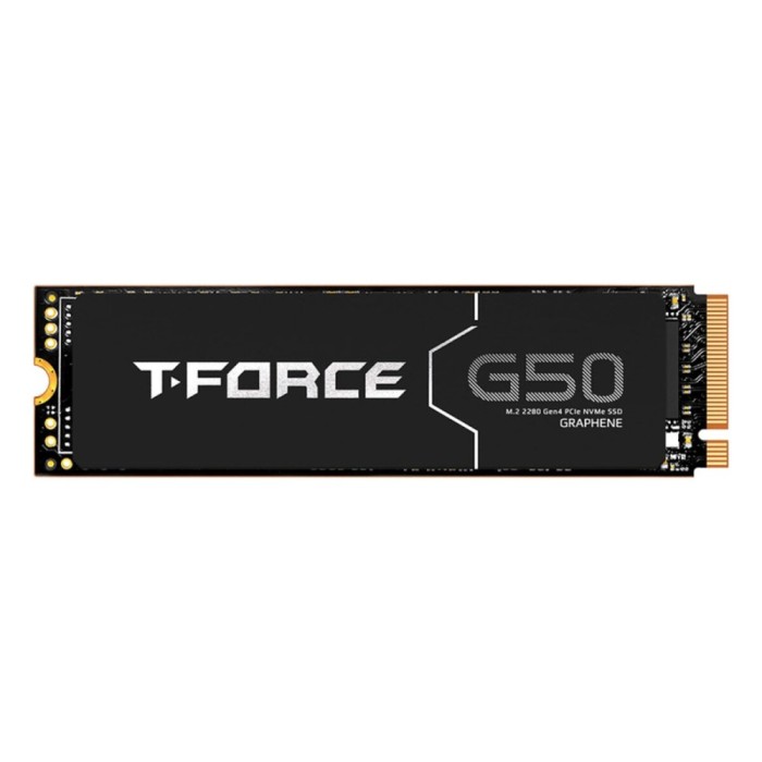 Hard Disk Team Group G50 2 TB SSD