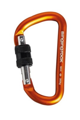Carabiniera accesorii Mini D Portocaliu foto