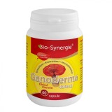 Ganoderma 400 miligrame Bio Synergie 60cps