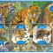 GABON 2020 - Fauna, Tigri / set complet colita + bloc