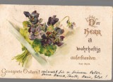 CPIB 23934 - CARTE POSTALA - FELICITARE DE PASTE - FLORI, FRANKFURT, CIRCULATA, 1907, STAMPILE, TIMBRU