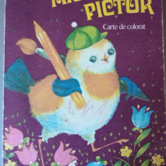 MICUL PICTOR, CARTE DE COLORAT 1977