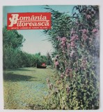 ROMANIA PITOREASCA , REVISTA LUNARA DE TURISM , NR. 5 - MAI , 1972