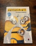 Minionii, Povestea completă