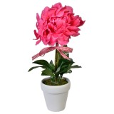 Ghiveci Ceramic Decorativi cu Plante Artificiale, CMCLASS