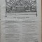Ziarul Amiculu familiei , an 4 , nr. 31 , Gherla , 1880 , Petre Dulfu