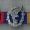 AX 230 INSIGNA -TURISM MONTAN - DRUMETIE - ,,DWB&quot; -FRUMOASA -BARETA