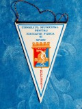 Fanion Consiliul Municipal pentru Educatie fizica si Sport - perioada comunista