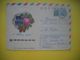 HOPCT PLIC S NR 976 ANUL NOU FERICIT 1978 -RUSIA -CIRCULAT