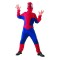 Costum carnaval spiderman pentru copii, 5-6 ani (marime 110/120 cm)